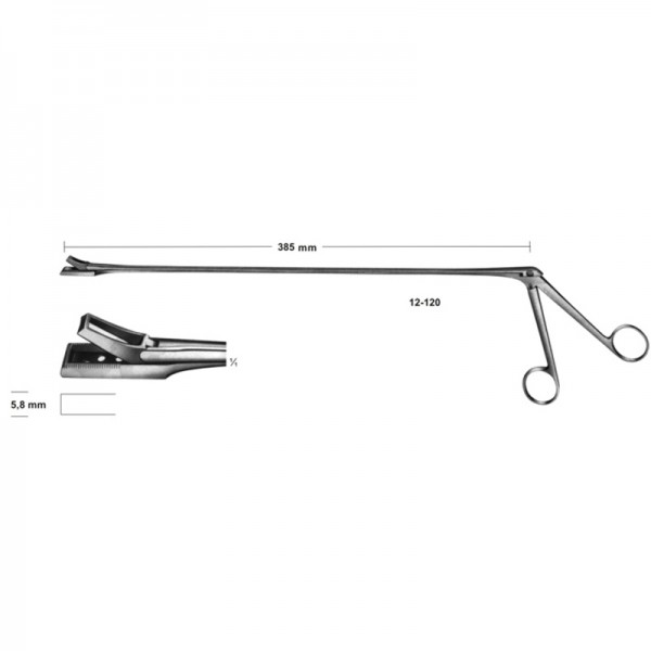 Biopsy forceps for rectum